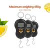 Portable Plastic Electric Digital Hanging Scale with Hook Tool for Fishing Luggage (Black)