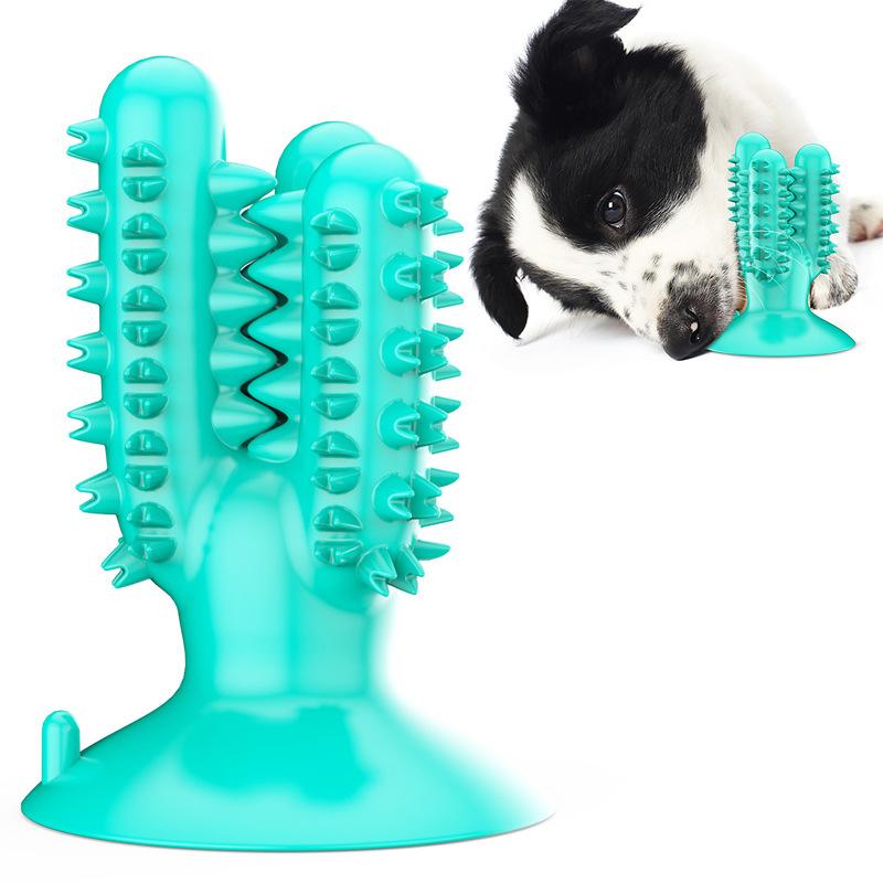 Pet Supplies Factory Wholesale Company New Explosions Cactus Toothbrush Grinding Stick Dog Toy Ball