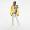 Men's Winter Down Jacket Jordan Essentials (DA9806) Pollen