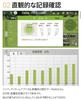Inbirdie TEMPO Plus Digital Putting Practice Machine