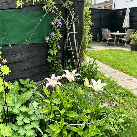 Peony Cage, Plant Support Cage with Four Legs, Heavy-Duty Metal Plant Support Ring for Roses Tomatoes Cucumbers Hydrangeas