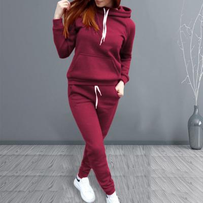 Yousheng 2 Pcs/Set Women Hoodie Pants Suit Solid Color Plush Long Sleeves Thick Top Elastic Waist Ankle-banded Trousers Sport Fitness Outfit Fall