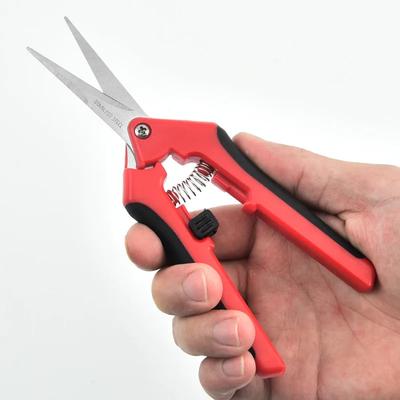 Garden Stainless Steel Flower Scissors Pruning Fruit Pruning Grape Pruning Straight Head Gardening Scissors Prun Flowers