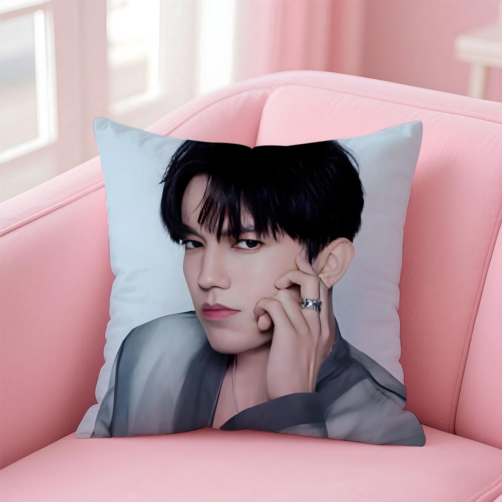 D-Dimash K-Kudaibergen Singer Cushion Cover Comfortable Reversible Pillow Cover Ideal for Car Sofa Bedroom & Beyond