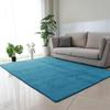 Ultra-Soft Water-Washable Shaggy Carpet for Living Room, Bedroom & Entrance