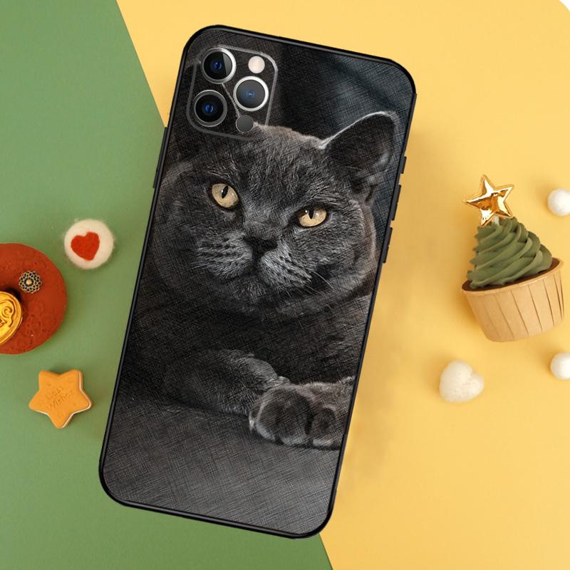 British Shorthair Cat Phone Case For iPhone 17 16 14 13 12 11 15 Pro Max 12 13 Mini 16E 17 Air Shockproof Cover