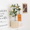Nordic Ceramic Orchid Vase - Light Luxury Style for Small Plants
