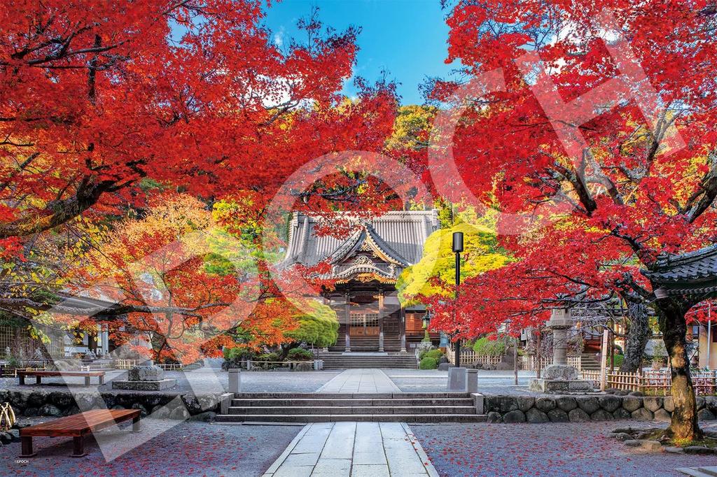 Epoch Jigsaw Japanese Beautiful Autumn At Shuzenji Temple Shizuoka X 75 Includes and Point Co., Ltd. 1000-piece Puzzle, Landscape, - (50 Cm) 09-024s,
