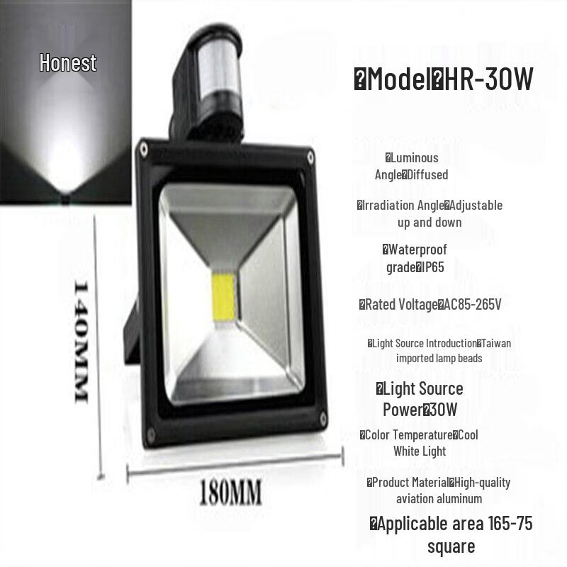 Rongyu 30W Waterproof Motion Sensor LED Light