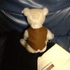 [USED] Steiff Teddy Bear