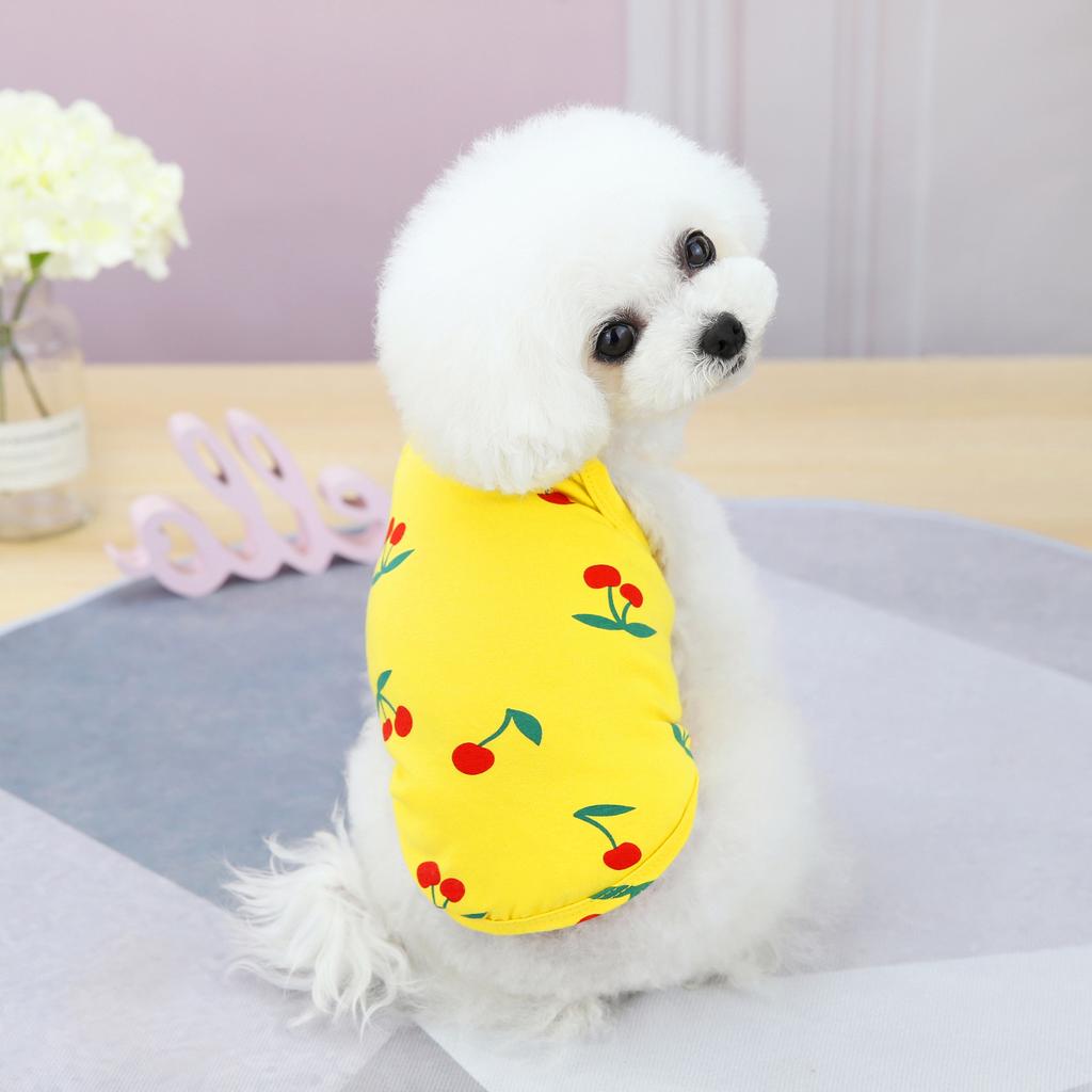 Pet Dog Clothes Spring and Summer Thin Teddy Bichon Pomeranian Yorkshire Terrier Small Dog Cat Vest Cherry Suspender