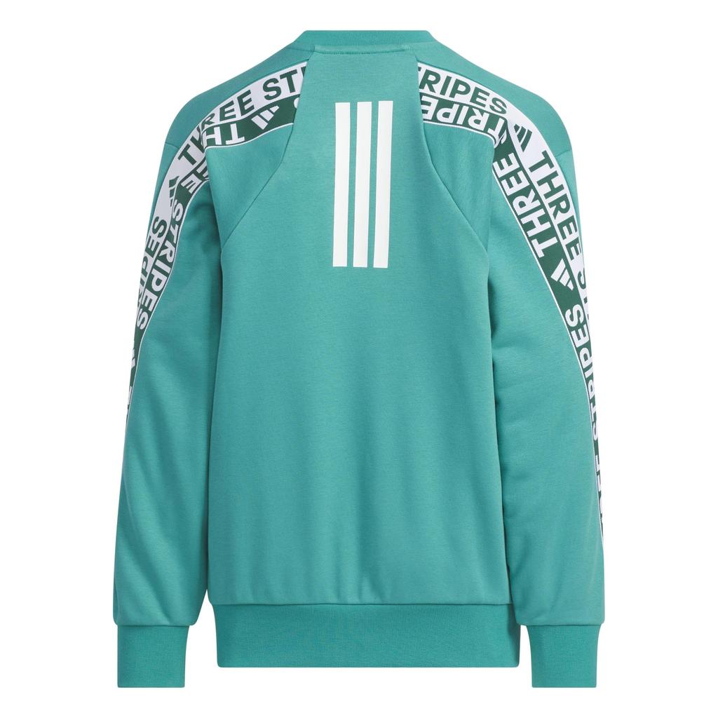 Adidas Word Crew Sweatshirt VM704 Pure Teal Kids' (KA3777)