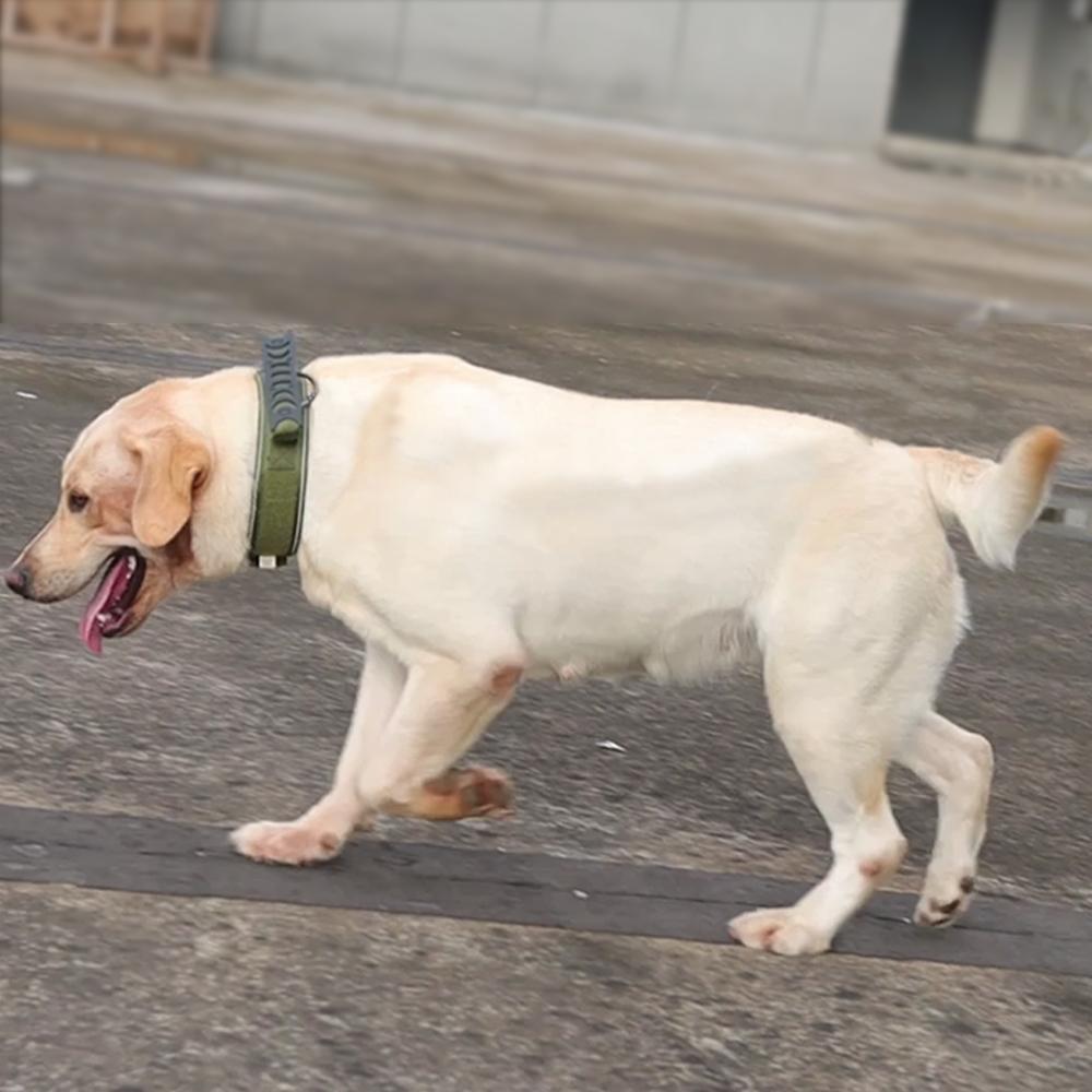 Reflective Dog Collar Heavy Duty Collars for Medium Large Dogs Durable Nylon Dog Collars with Handle Stainless Hardware Military Tactical Pet Collar