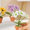 Decoration Potted Plant Fashionable Hand-woven Small Daisy