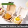Disposable Pulp Takeaway Food Boxes