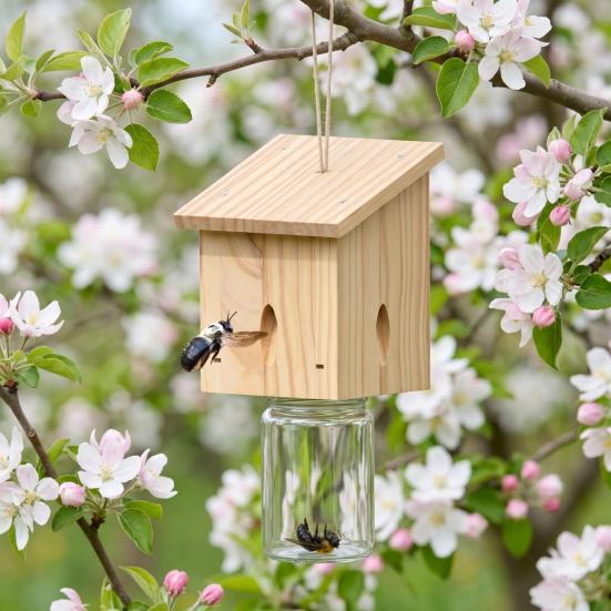 Carpenter Bee Trap Outdoor Hanging Bee Catcher Trap Kit Wooden Insect Trapping Box with Plastic Jar for Swarm Control
