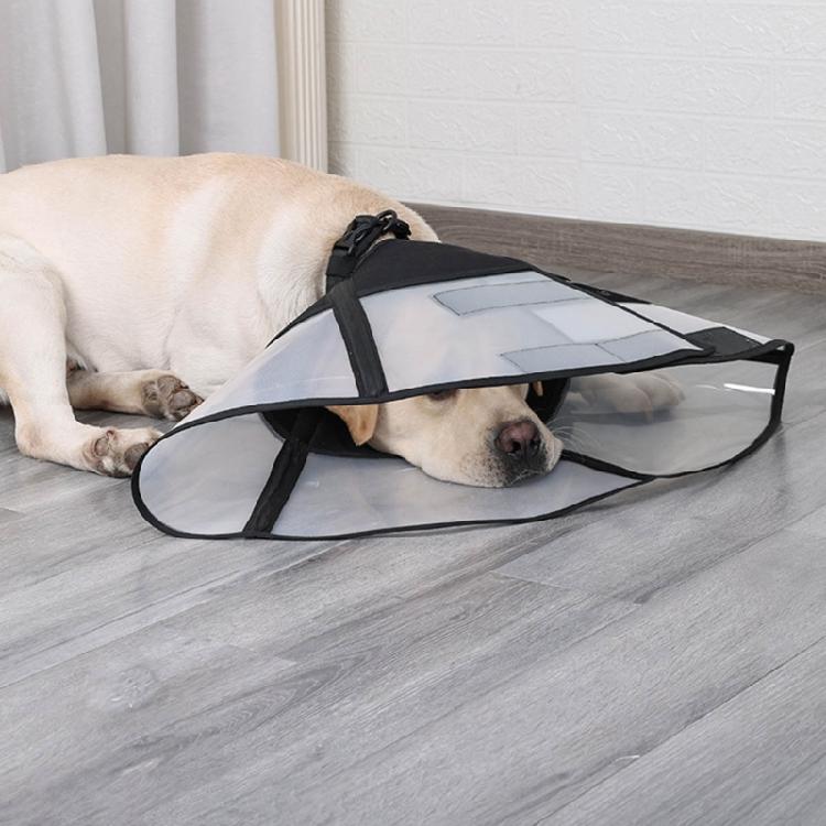 Comfortable Cats Cone Collar for Post Surgery Recovery and Wound Protections