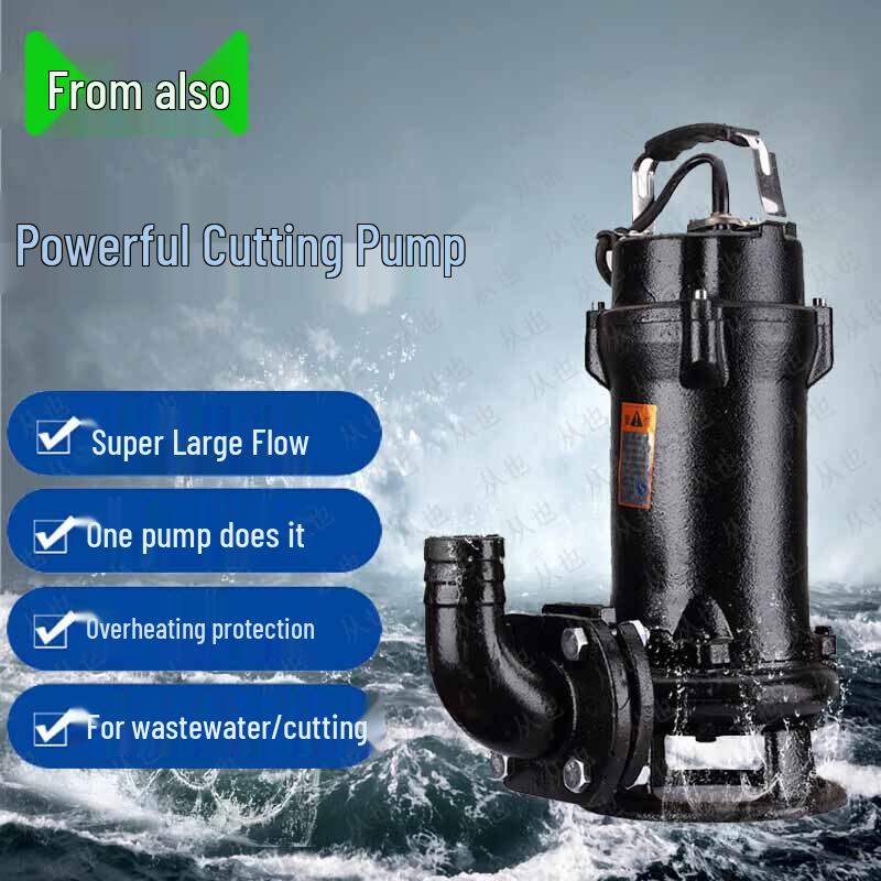 High-Flow Flood Control Sewage Pump