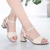 Soft Leather Women's Sandals 2025 Summer New High Heels Versatile One-word Buckle Sandals Fairy Style Thick Heels Women's Shoes