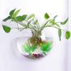 Hemisphere Shape Wall-Hanging Fish Bowl Transparent Hanging Betta Tank  Office Decoration