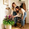 50cm UV Resistant Zero Maintenance Faux Ferns, Realistic Artificial Plant for Porch & Patio, Fade-Proof Outdoor Hanging Decor