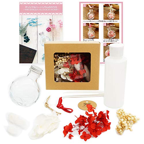 

Free Research Kit, Help Kit: Easy Herbarium Creation Kit for Elementary School Students, Free Crafts, Instructions Included (Red)
