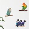 Wall Sticker Moisture-proof Removable PVC Parrot Painting Wall Decal for Nursery Room