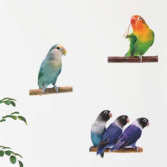 Wall Sticker Moisture-proof Removable PVC Parrot Painting Wall Decal for Nursery Room