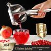 Zhaoran Manual Fruit Juicer