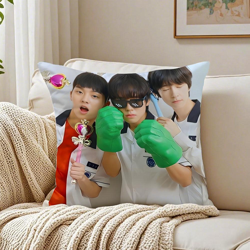 Webtoon Gritty 1 WWeak HHero Class 1 Cushion Cover Pillowcase Antidustmite living Room Sofa Decor Cushion Room