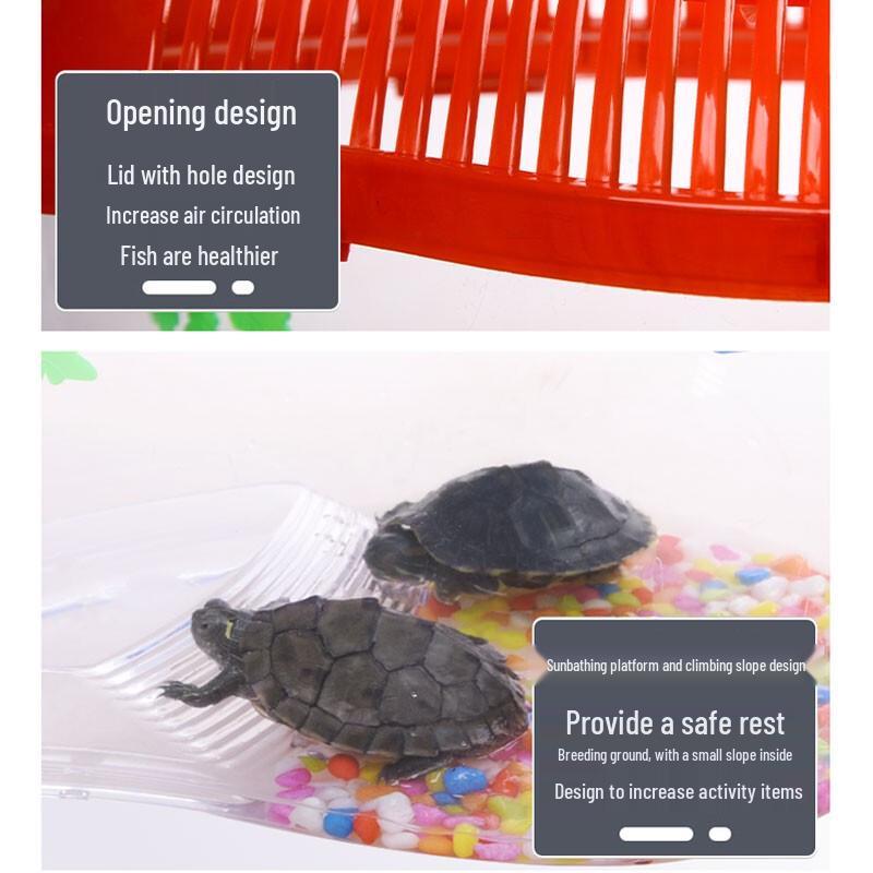 Portable Plastic Turtle Terrarium with Basking Platform