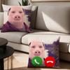 Meme John Pork vtipný Povlak na polštář Kancelářské polštářky Vhodné na pohovku do auta do ložnice Dekorativní povlak na polštář