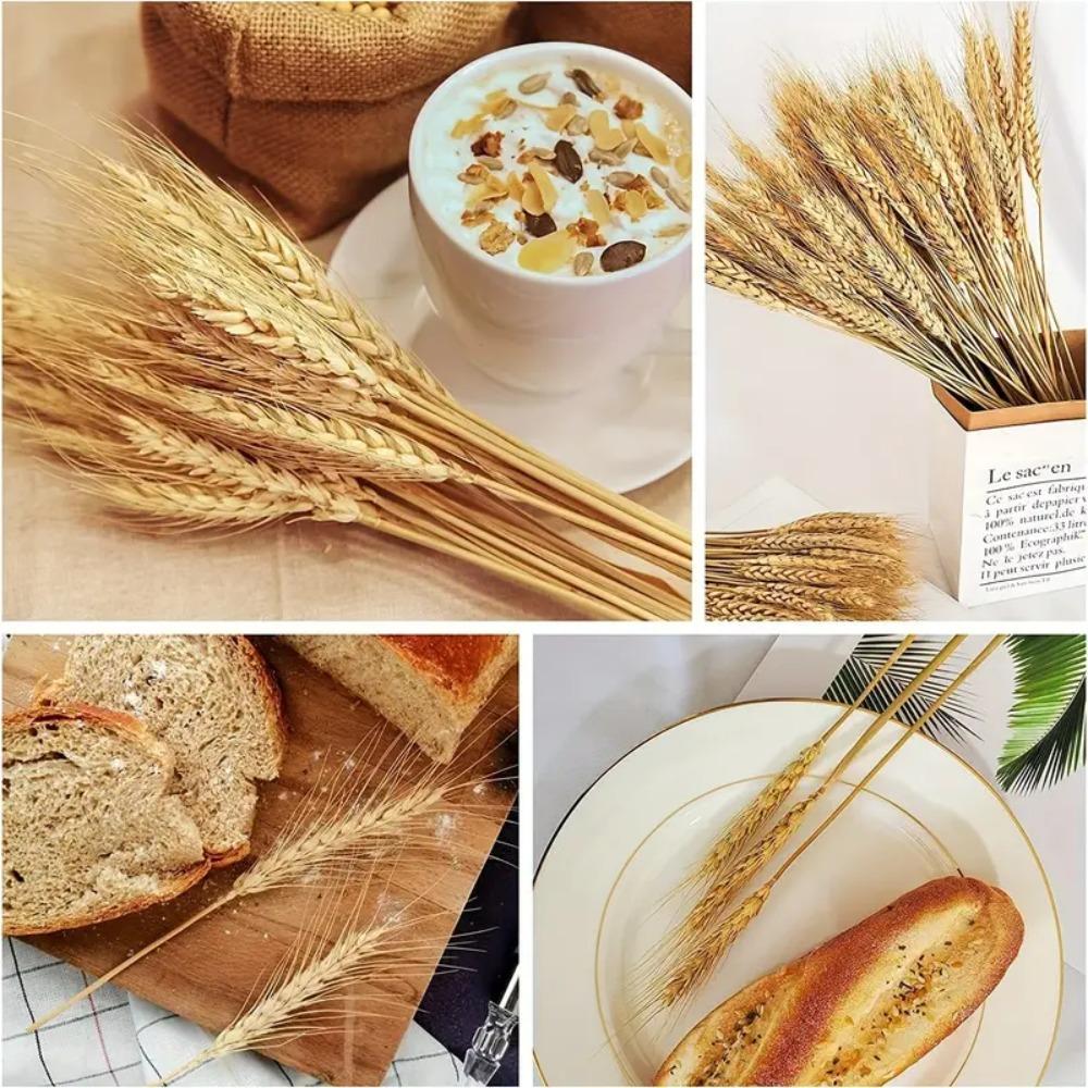 50pcs Rustic Dried Wheat Stalks DIY Craft Dried Flowers Dry Wheat Spikes  Christmas Decoration
