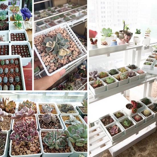 

1 комплект, полимерный дышащий горшок для суккулентов, держатель для растений, детский садовый контейнер