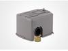 Dual Rod Mechanical Pressure Switch for Water Pump Systems (PC-2)