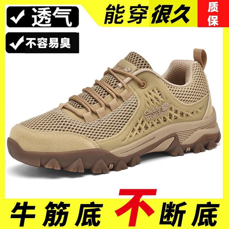 Summer breathable and non-smelly mesh shoes men's beef tendon soles waterproof and non-slip sports shoes large size middle-aged dad shoes travel shoe