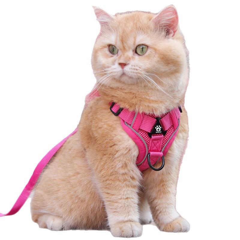Cat Leash, Anti-escape Special Cat Leash for Going Out, Pet Carrier, Adjustable Chain, Cat Walking Wonder