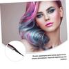 Detachable Roller Hair Dye Comb with Wide Tooth for Precise Parting and Gentle Scalp Massage
