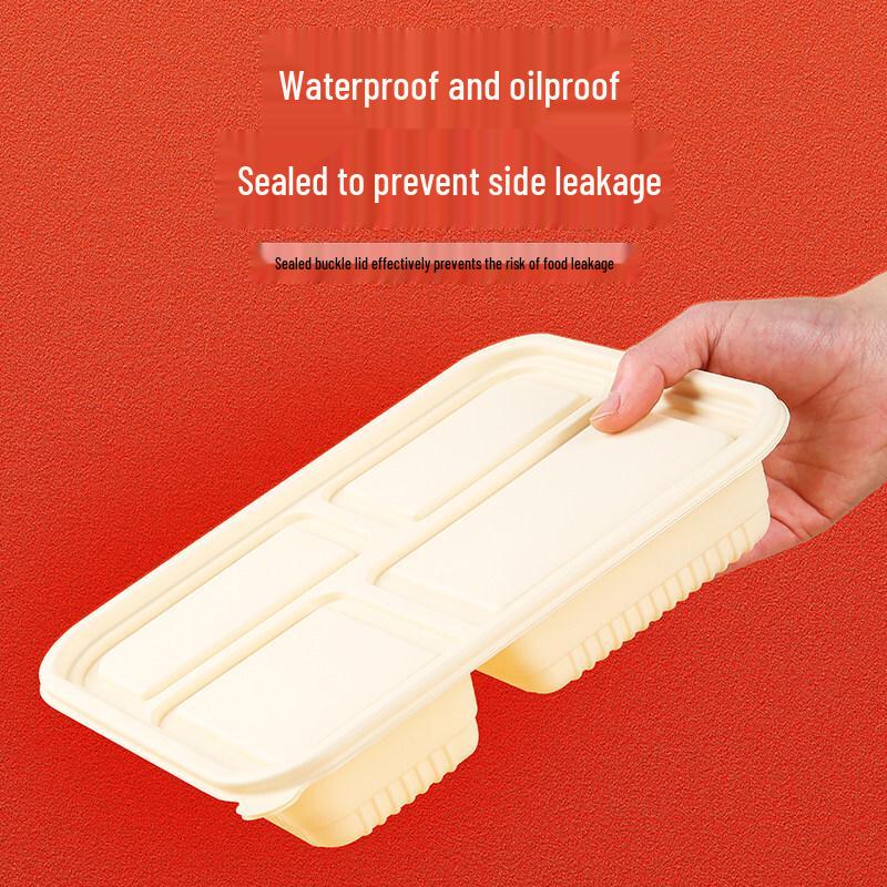 ZISIZ Biodegradable Disposable Food Container