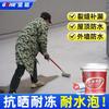 Jianneng Waterproof Repair Coating