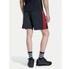 Спортивные шорты adidas adicolor Teamgeist