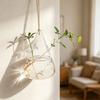 Yousheng 3 Pcs Hanging Glass Planter Clear Plant Propagation Stations Hydroponic Flower Vase for Indoor Home Office Living Room Decor