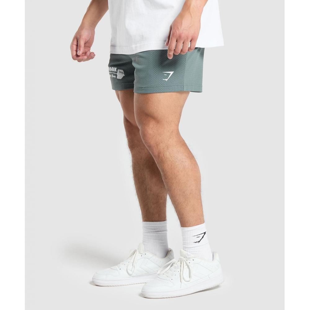 Buy Gymshark Workout Gear Mesh Shorts Cargo Teal A5a6h Tbng at