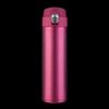 Shang Heng Flip-Top Insulated Water Bottle