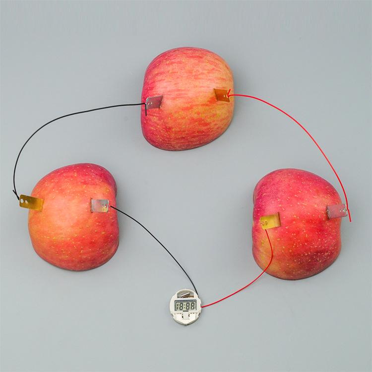 Bilim Deneyi Meyve Gücü Üretimi Çinko Bakır Parçalar Teknoloji Küçük Yapım Öğrenciler Küçük İcat Fizik Deneyi Malzemesi Oyuncaklar