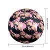 Aespa Size 5 Soccer Ball, Durable Standard Football For Training Match Outdoor Sports