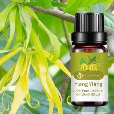 10ml Ylang Ylang Oil Botanical Essential Aromatherapy Shrink Pores Improve Skin Moisturizing Nourishing