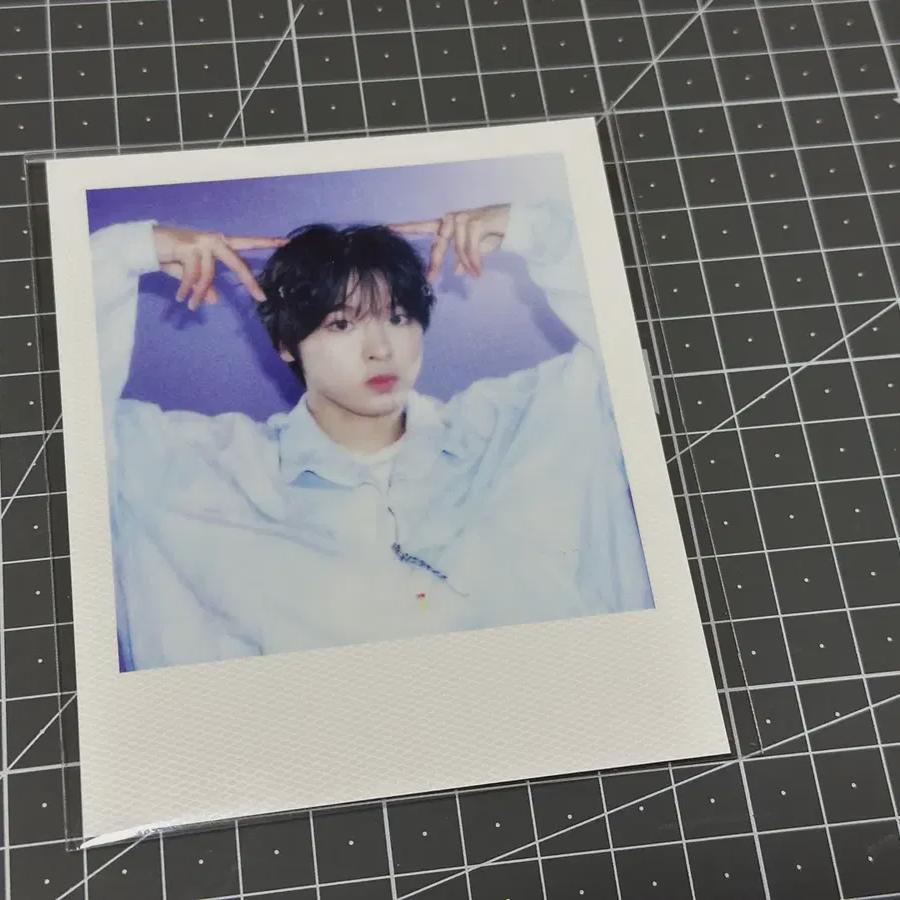 

I Sell Nct Wish Sigriku Polaroid