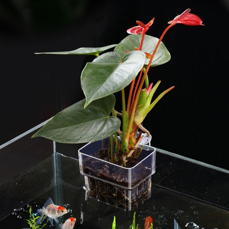 Aquarium Plant Holder Hangings Aquatic Plant Pots with Hole for Aquarium Plant Cups for Live Aquaponic Plant Landscape
