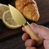 Stainless Steel Gold Cheese Knife Set with Fork and Rubberwood Handles